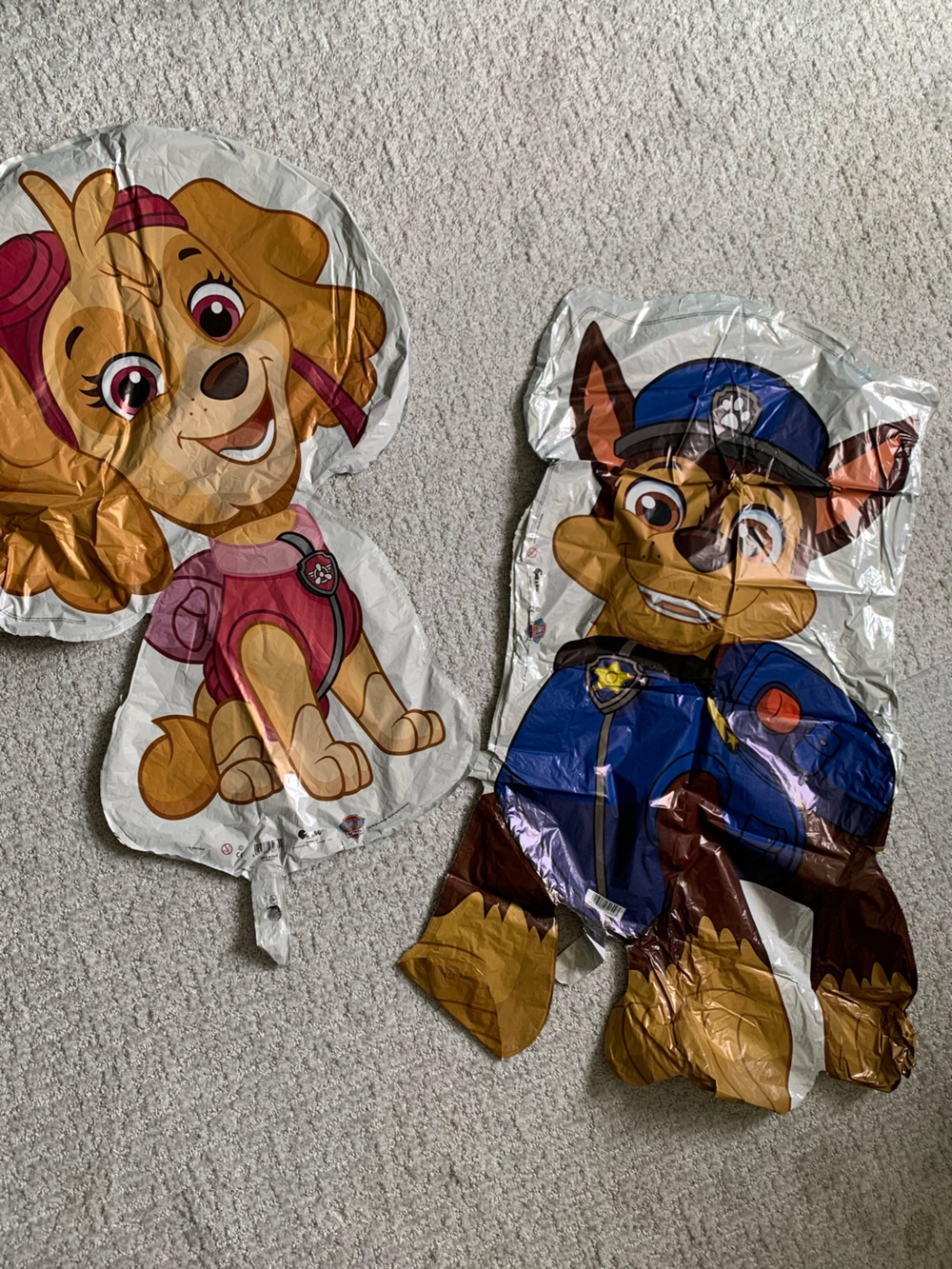 Paw Patrol Birthday Decorations